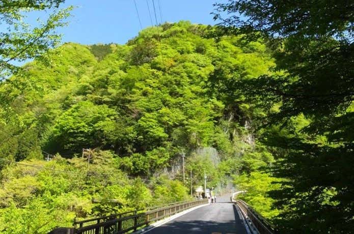 日原鍾乳洞周辺の観光