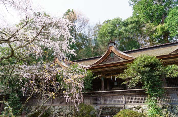 吉野山吉野水分神社の写真