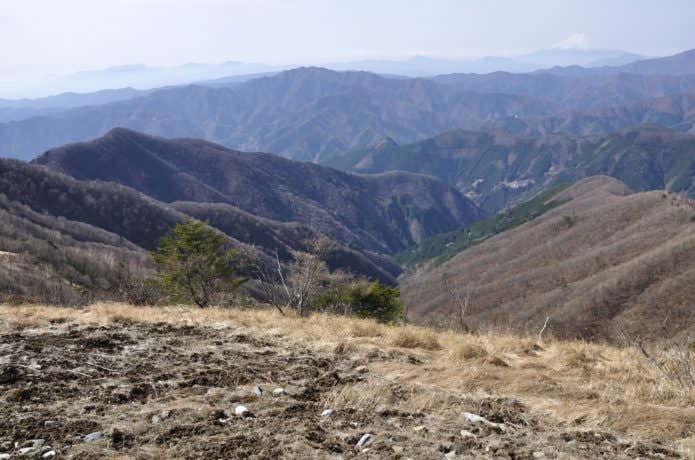 日原鍾乳洞周辺の登山コース鷹ノ巣山