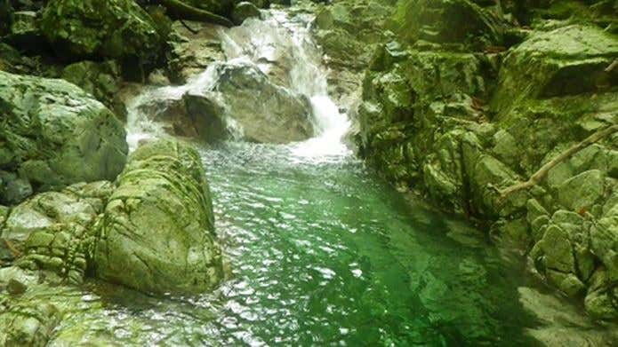 大峰付近の沢
