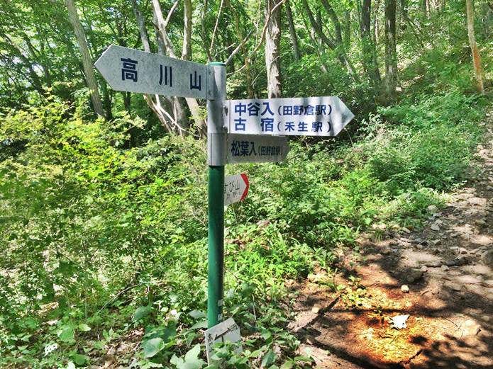コース分岐