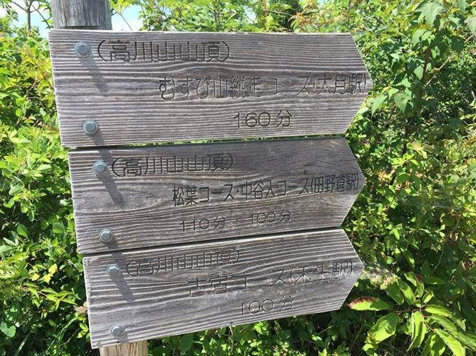 高川山山頂からの分岐