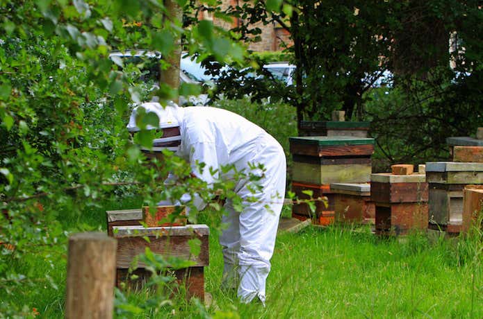 養蜂場と養蜂家の写真