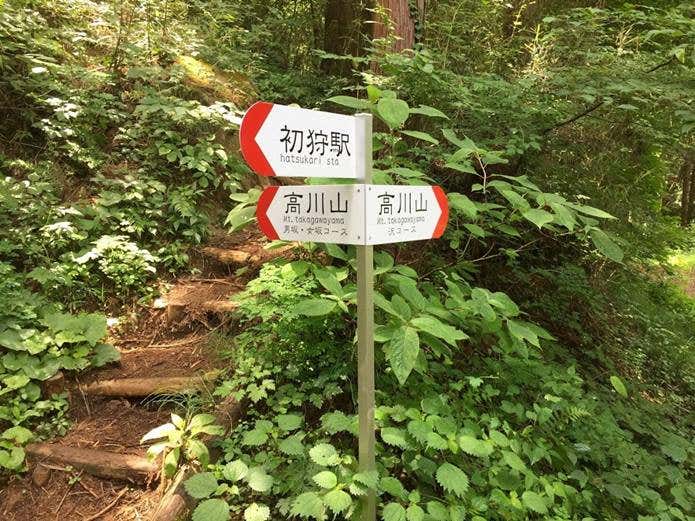 男坂・女坂と沢コースの分岐