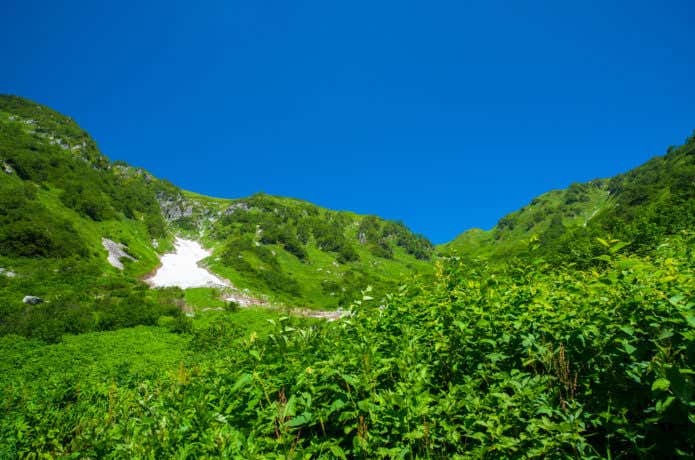 夏の穂高連峰