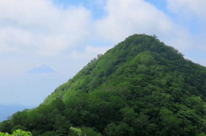 茅ヶ岳と富士山の画像