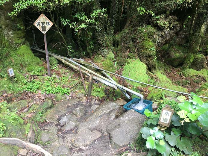 白谷雲水峡登山コース途中の水場