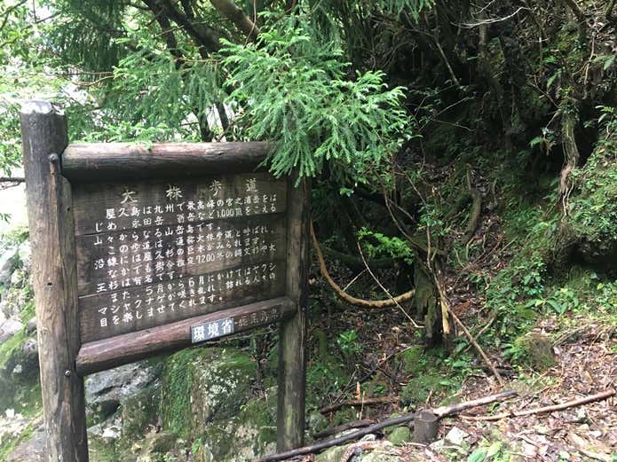 屋久島縄文杉登山コース大株歩道入口