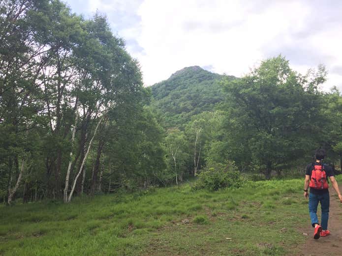 国師ヶ原高原