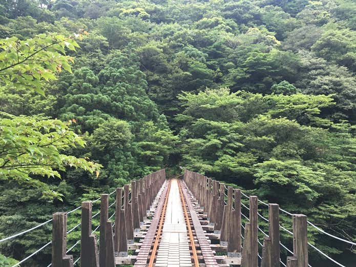 縄文杉コーススタート地点の画像