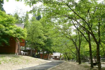 宮城県のキャンプ場の画像