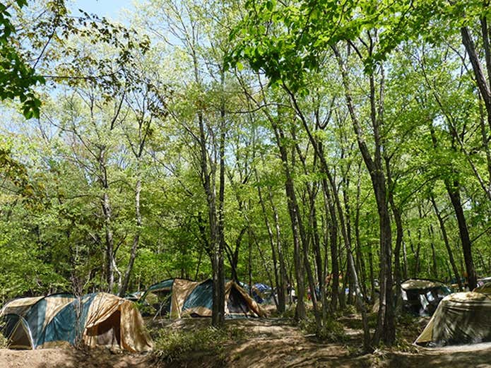 赤城山オートキャンプ場の画像