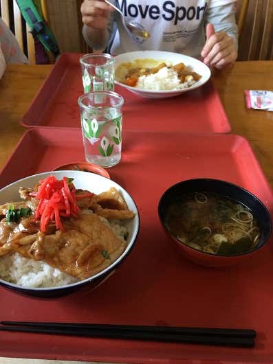 上州麦豚丼