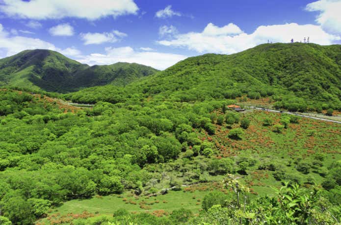 鈴ヶ岳の画像