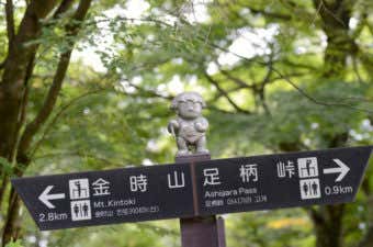 金時山の指導票