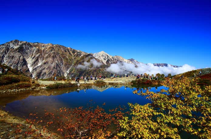 紅葉期の八方池