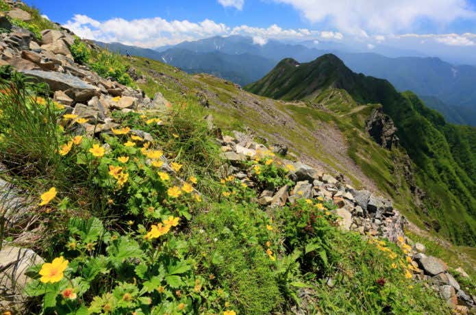 仙丈ケ岳