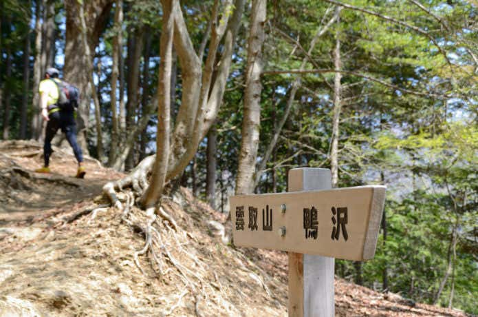 雲取山の登山道