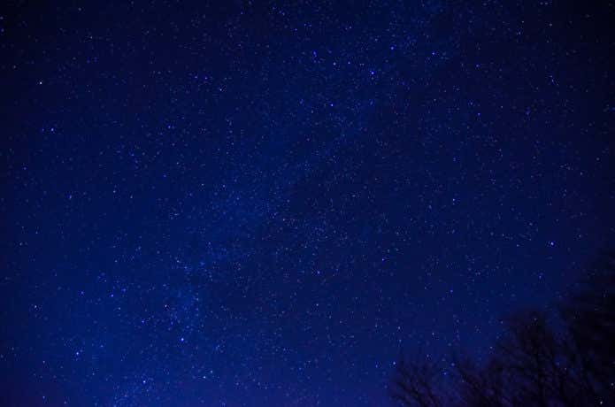 美し森から見れる星空