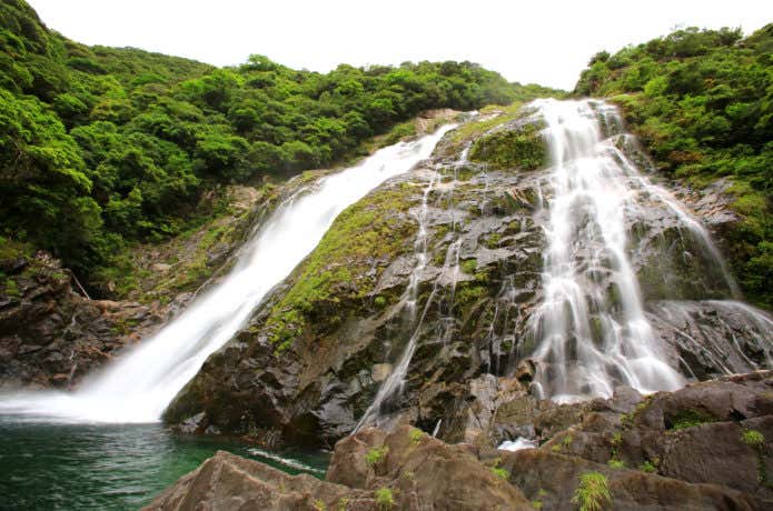 屋久島の大川の滝