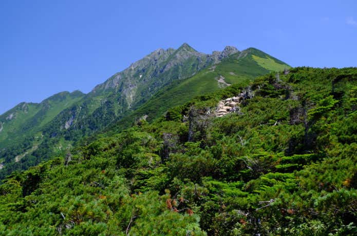 西穂高岳