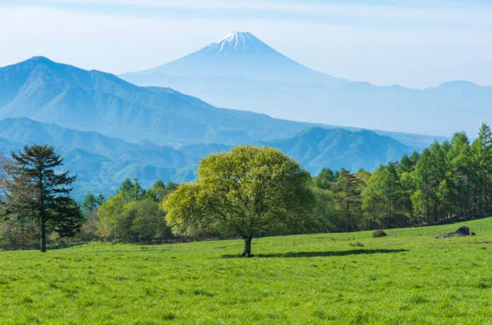 八ヶ岳牧場から見られる富士山