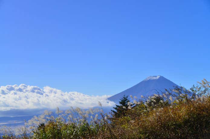 三ツ峠山と富士山の眺望