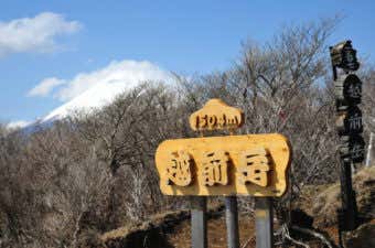 越前岳
