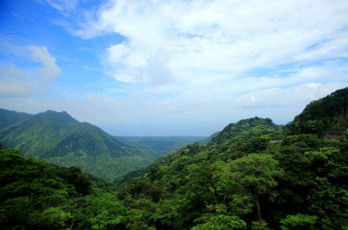 屋久島の山々の画像