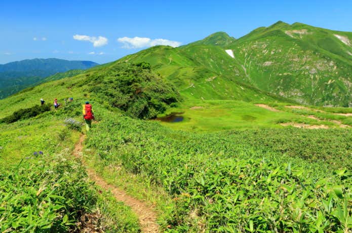 夏山の登山者