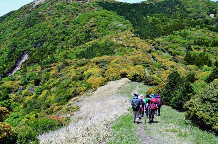 登山する人