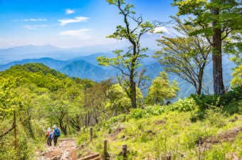 夏の丹沢登山