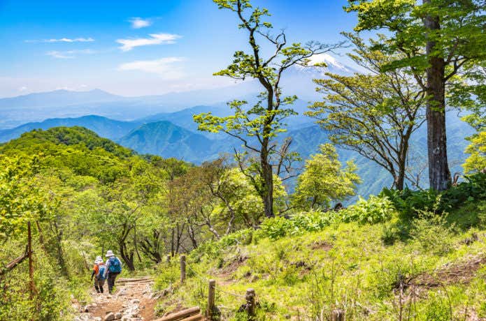 夏の丹沢登山