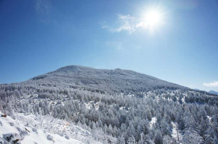 冬の縞枯山の画像