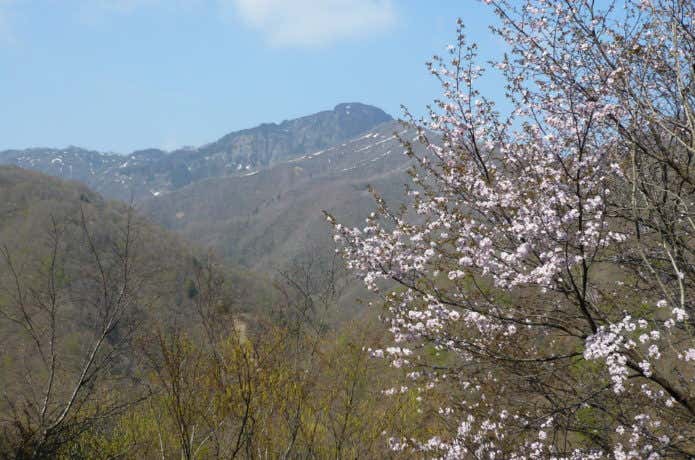 冠山