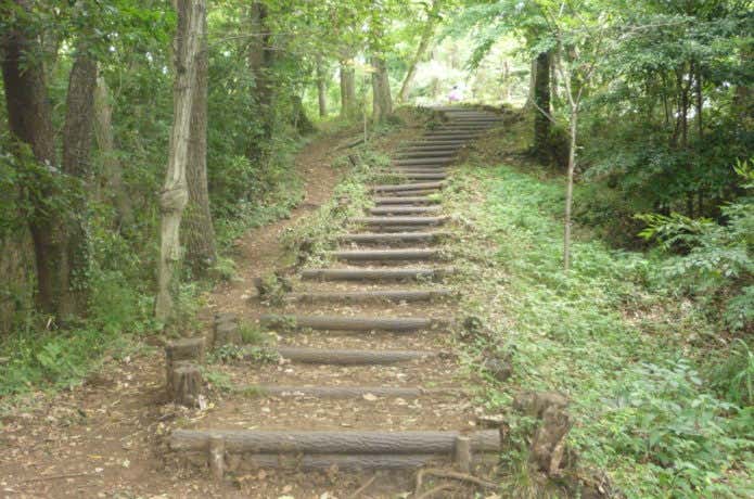 浅間山の道の画像