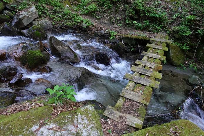 金山鉱泉コースの画像