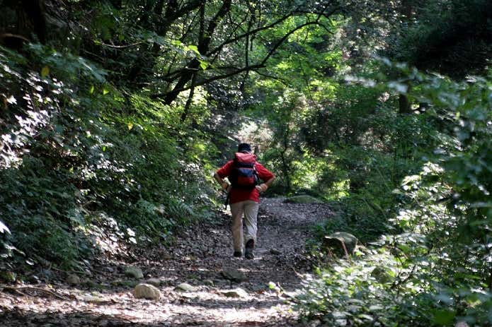 三郡山登山