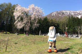 山に関するゆるキャラ