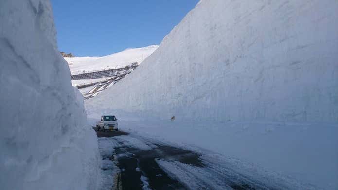 雪の回廊