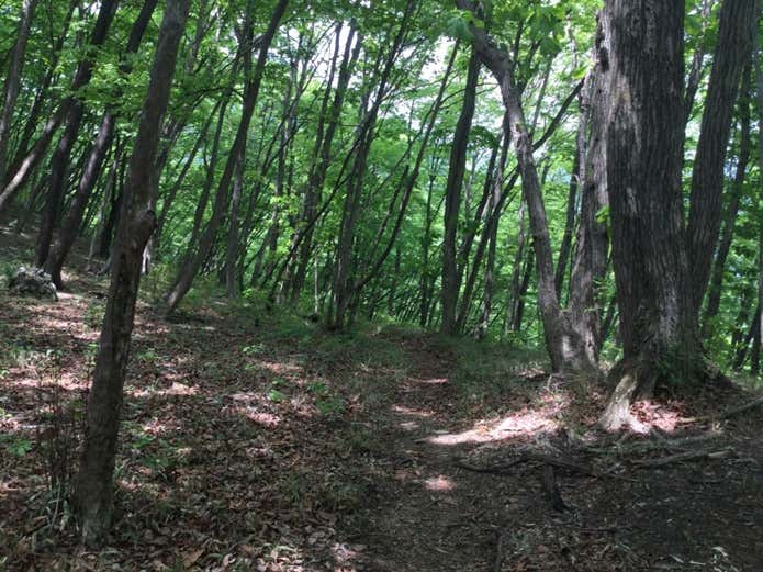 三ノ戸山の登山コース
