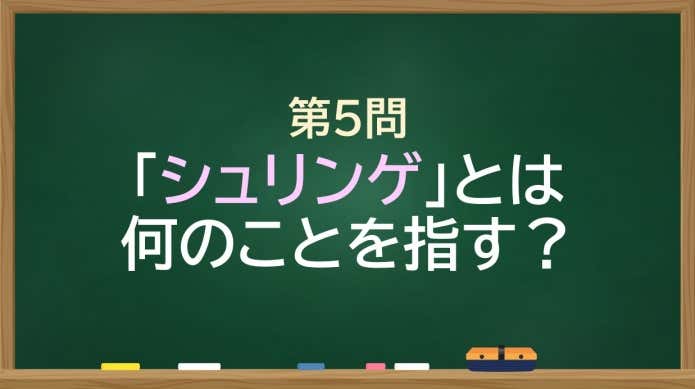  「シュリンゲ」とは何のことを指す？