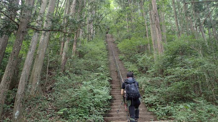 愛宕神社の階段