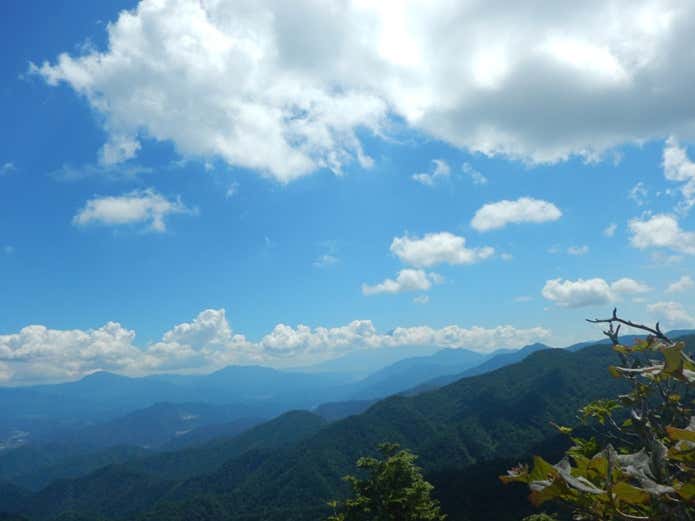 姥子山からの眺め