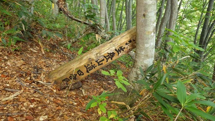 弥生登山道4合目