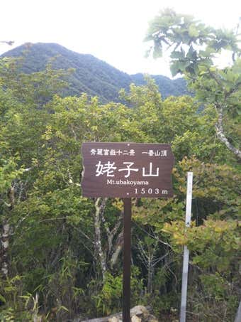 姥子山山頂の画像