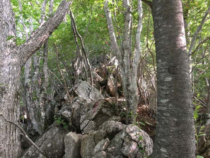 寂ショウ尾根