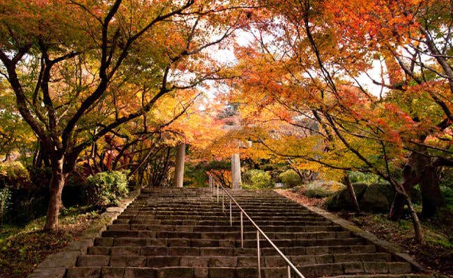 竈門神社
