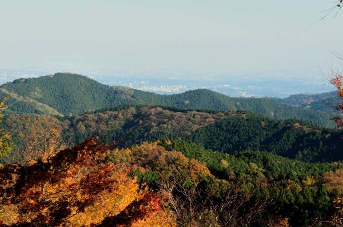 中央線藤野駅から行ける陣馬山の紅葉