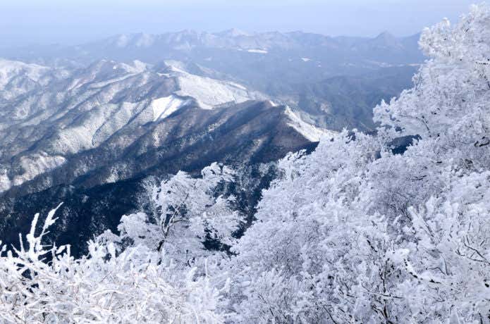 高見山
